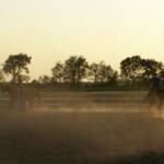 Kids in the arena 2008.