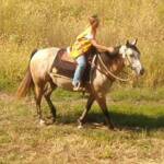 That is me riding Spirit at a mock search. Fighting the flies and the heat.  It was very hot that day.