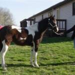 Amy showing off Minnie when she was 1 years old.