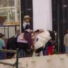 04-05-08. This is me riding Max at the Hoosier Horse Fair Expo. Max's first time out.